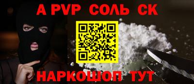 индика Моздок