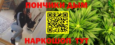 индика Моздок