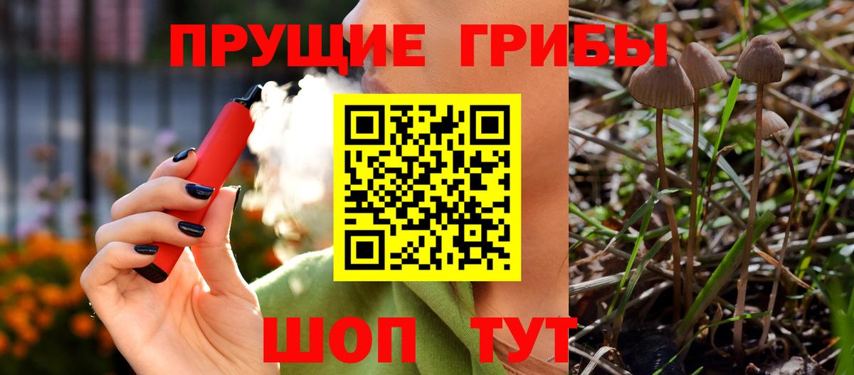 Кубинка  Псилоцибиновые грибы MAGIC MUSHROOMS  Псилоцибиновые грибы MAGIC MUSHROOMS  Вход с VPN 